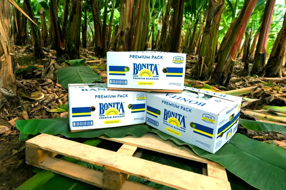 Cajas de banano Bonita apiladas en la finca, listas para exportar.