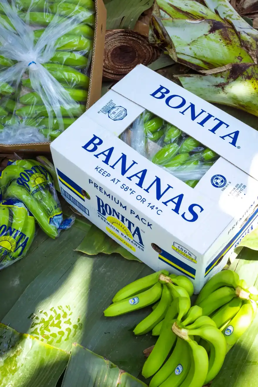 Caja Bonita Premium Pack junto a racimos de banano verde sobre hojas de banano.
